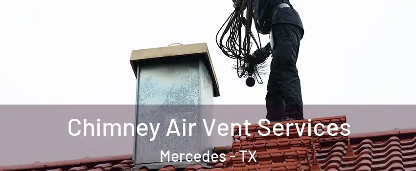  Chimney Air Vent Services Mercedes - TX