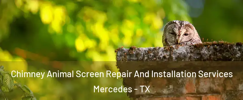  Chimney Animal Screen Repair And Installation Services Mercedes - TX