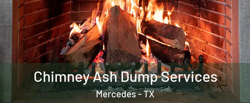  Chimney Ash Dump Services Mercedes - TX