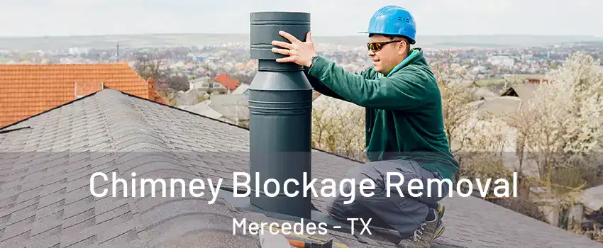  Chimney Blockage Removal Mercedes - TX