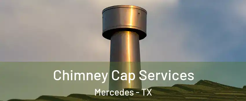  Chimney Cap Services Mercedes - TX