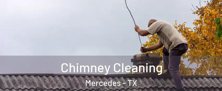  Chimney Cleaning Mercedes - TX