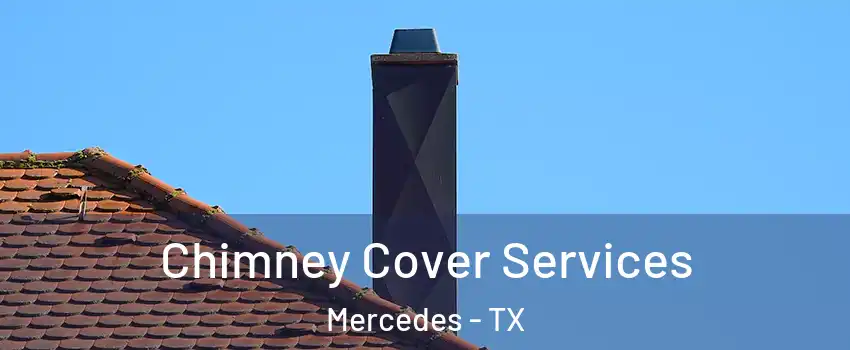  Chimney Cover Services Mercedes - TX