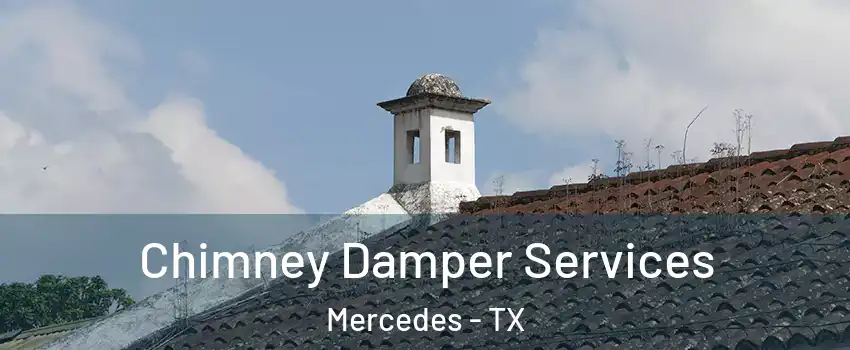  Chimney Damper Services Mercedes - TX