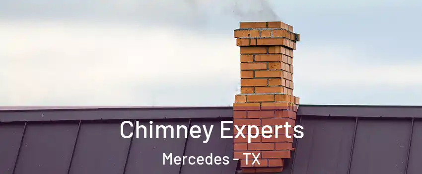  Chimney Experts Mercedes - TX