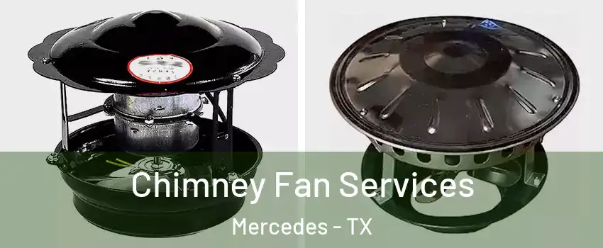  Chimney Fan Services Mercedes - TX