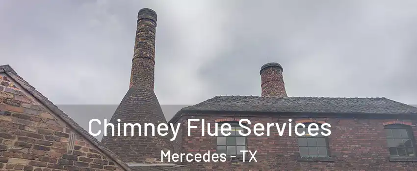  Chimney Flue Services Mercedes - TX