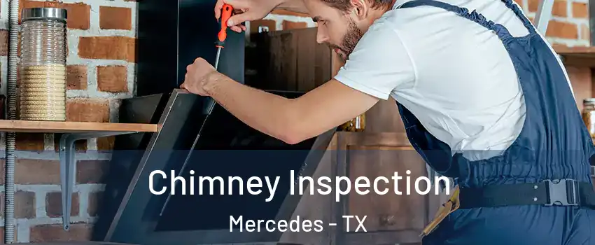  Chimney Inspection Mercedes - TX
