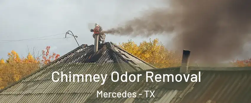  Chimney Odor Removal Mercedes - TX