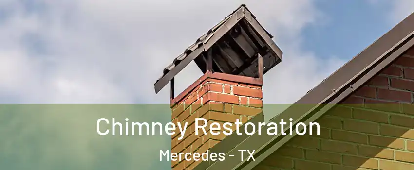  Chimney Restoration Mercedes - TX