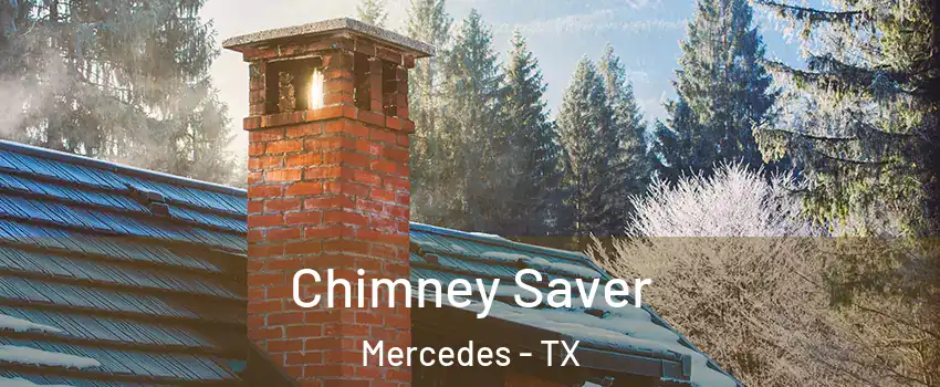  Chimney Saver Mercedes - TX
