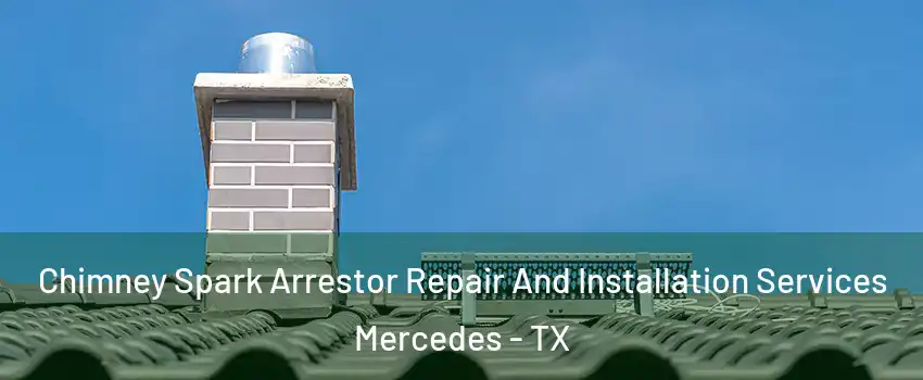  Chimney Spark Arrestor Repair And Installation Services Mercedes - TX