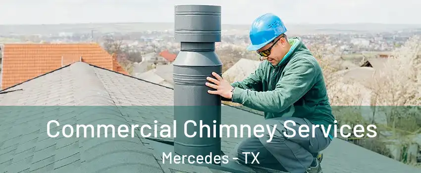  Commercial Chimney Services Mercedes - TX