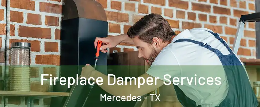  Fireplace Damper Services Mercedes - TX