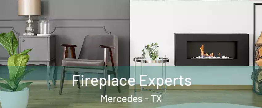  Fireplace Experts Mercedes - TX