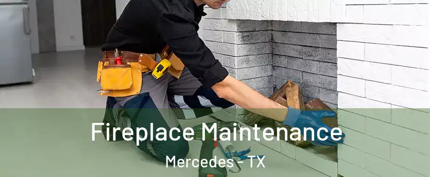  Fireplace Maintenance Mercedes - TX