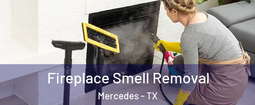  Fireplace Smell Removal Mercedes - TX