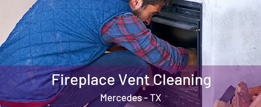  Fireplace Vent Cleaning Mercedes - TX