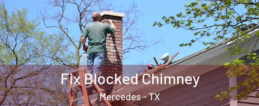  Fix Blocked Chimney Mercedes - TX