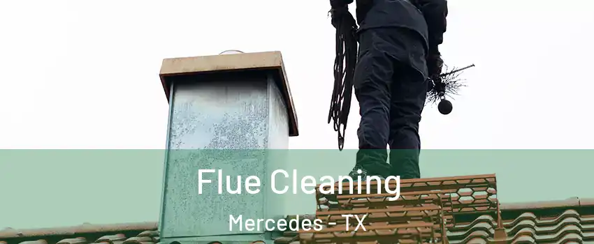  Flue Cleaning Mercedes - TX