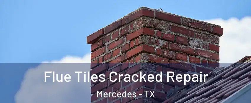 Flue Tiles Cracked Repair Mercedes - TX