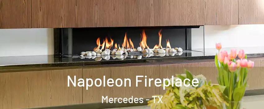  Napoleon Fireplace Mercedes - TX