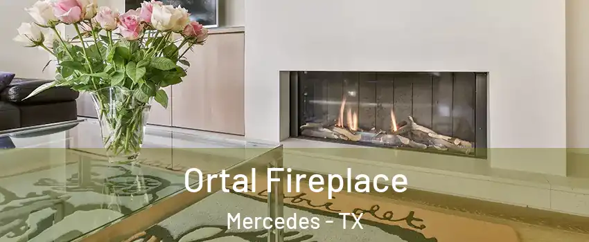  Ortal Fireplace Mercedes - TX